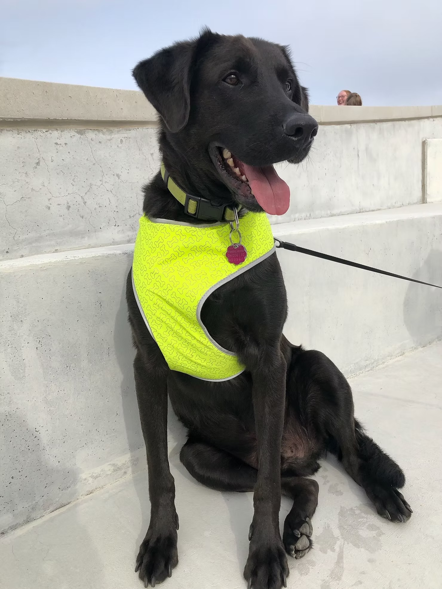 Jet