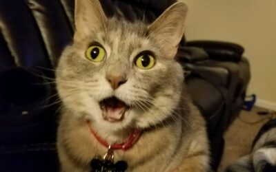 Sammy Jo aka: Baby Girl/Bestfriend