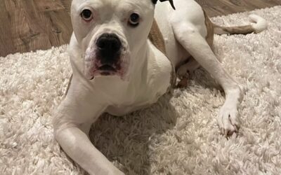 Ace “Pookie” Burk