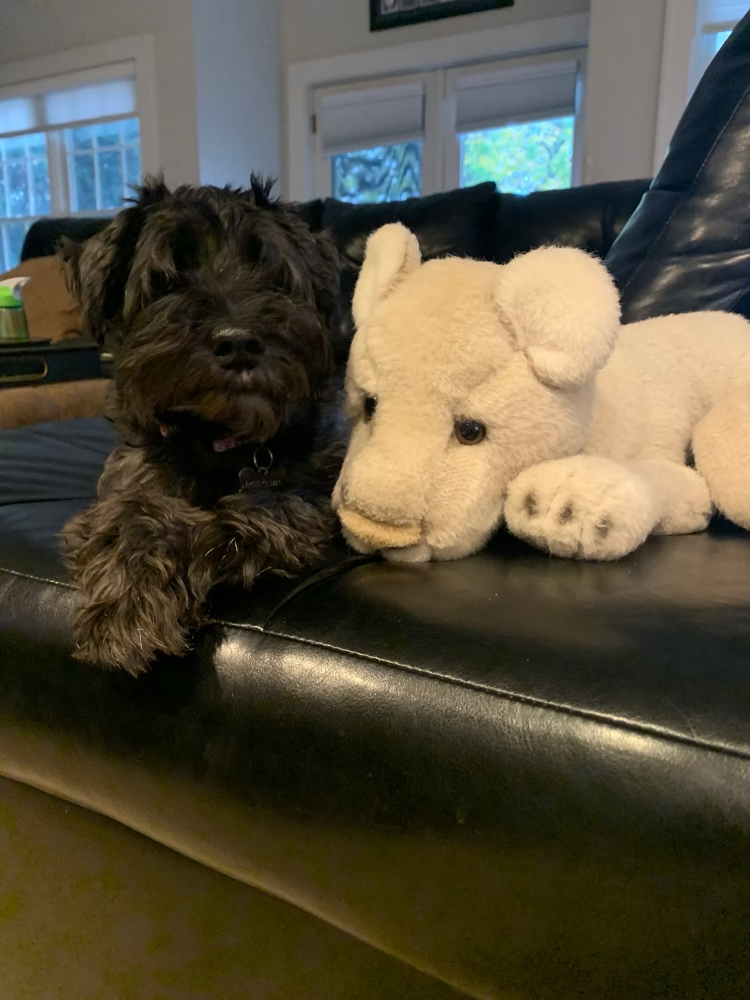 Archie