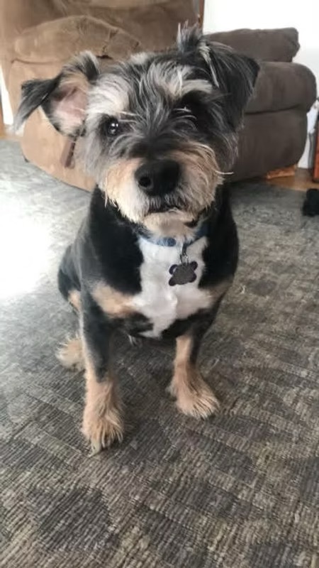 Charlie