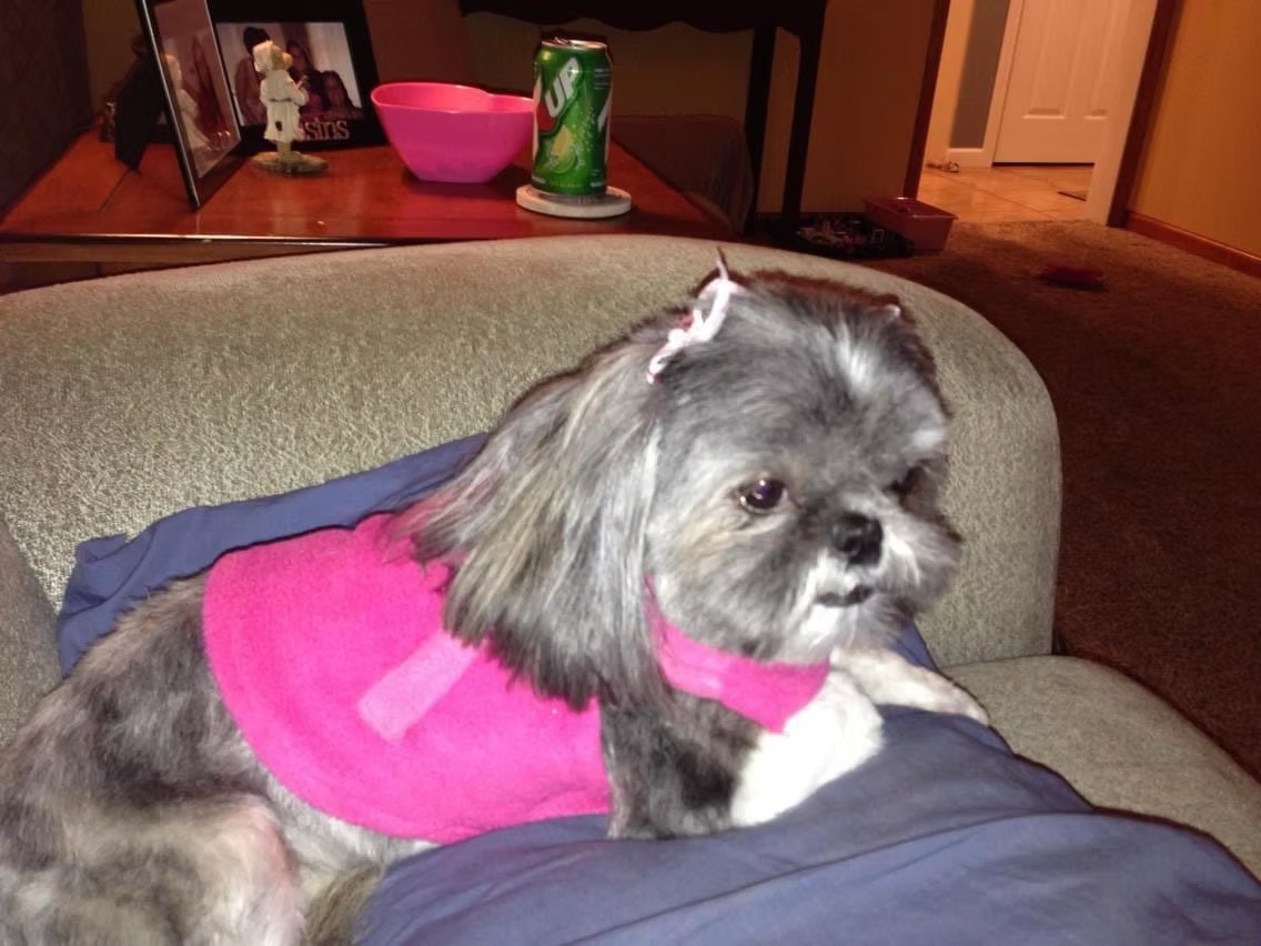 Dottie