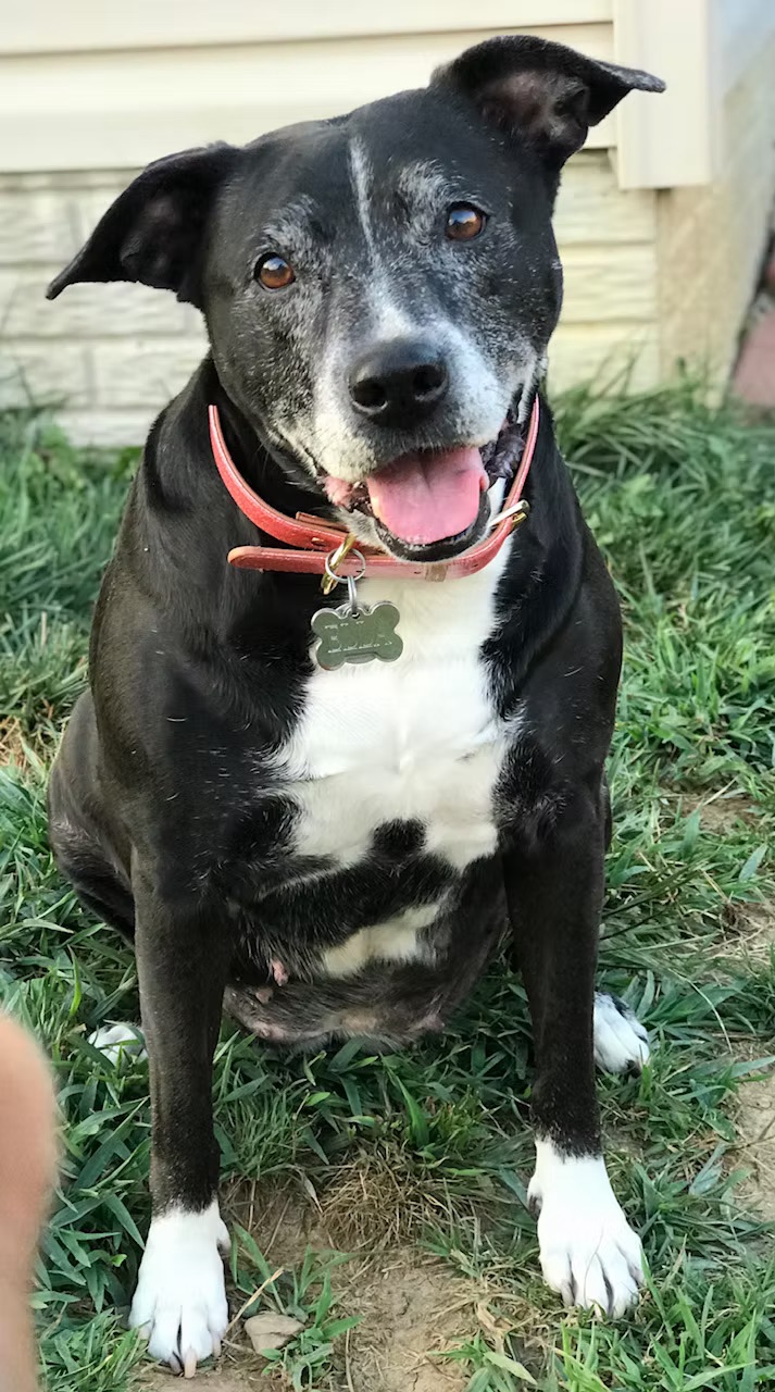 Ella 💜