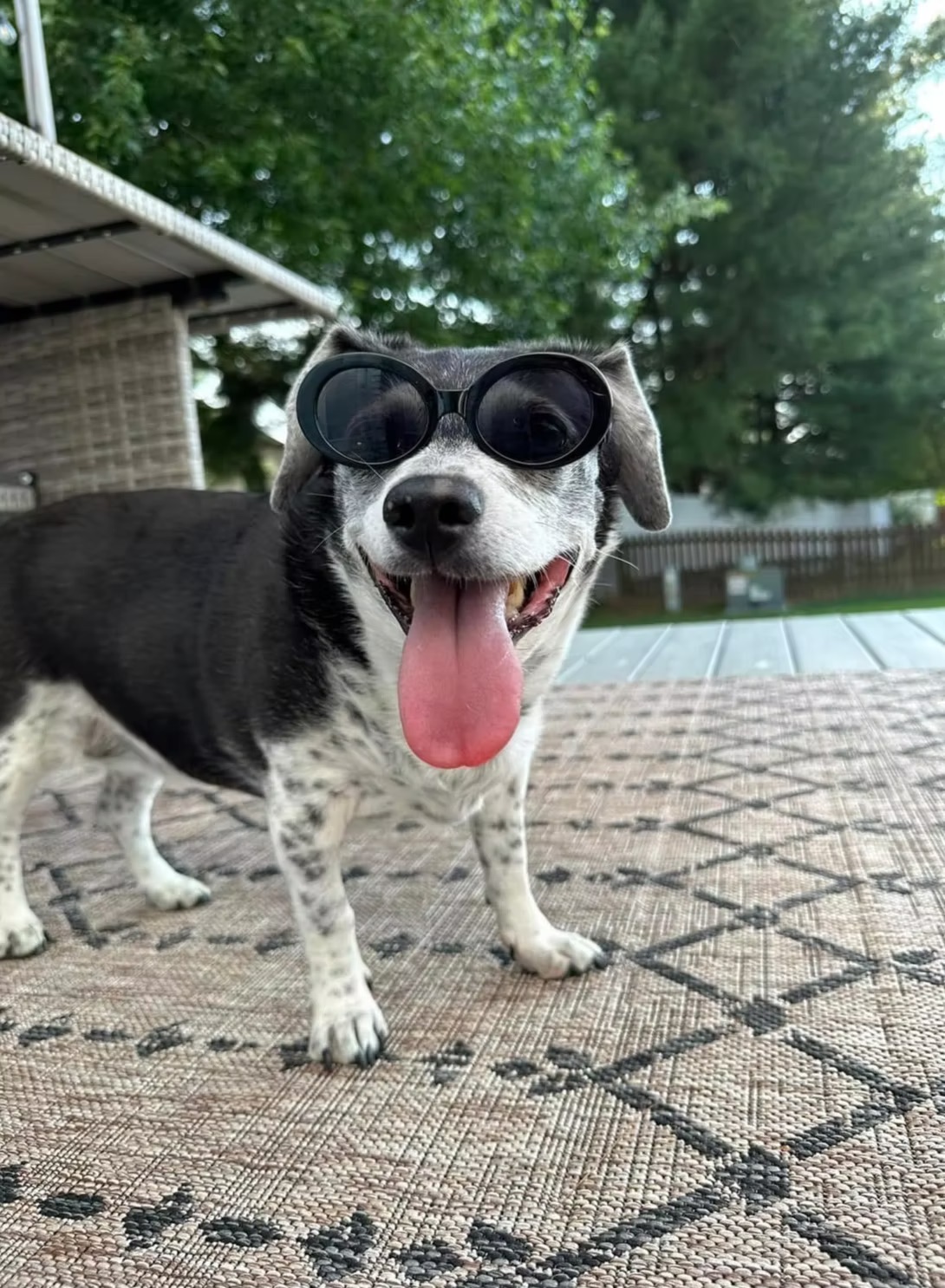 Gracie