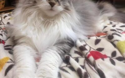 Kenzie better known as WOO 💖