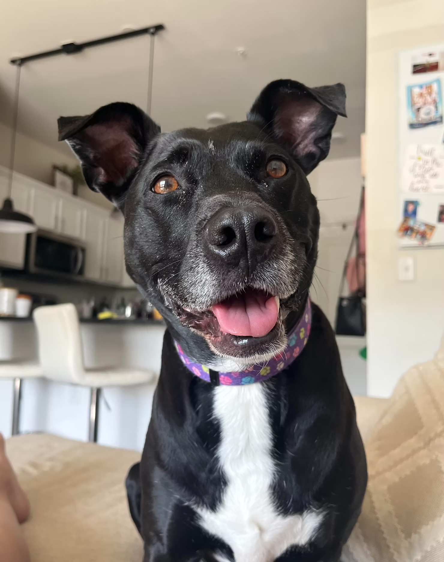 Libby