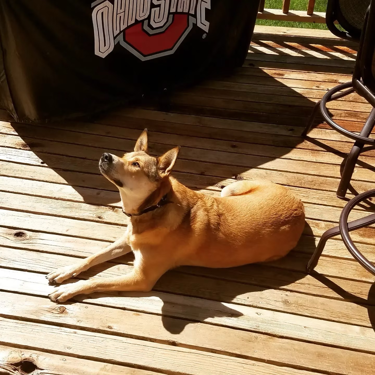 Max