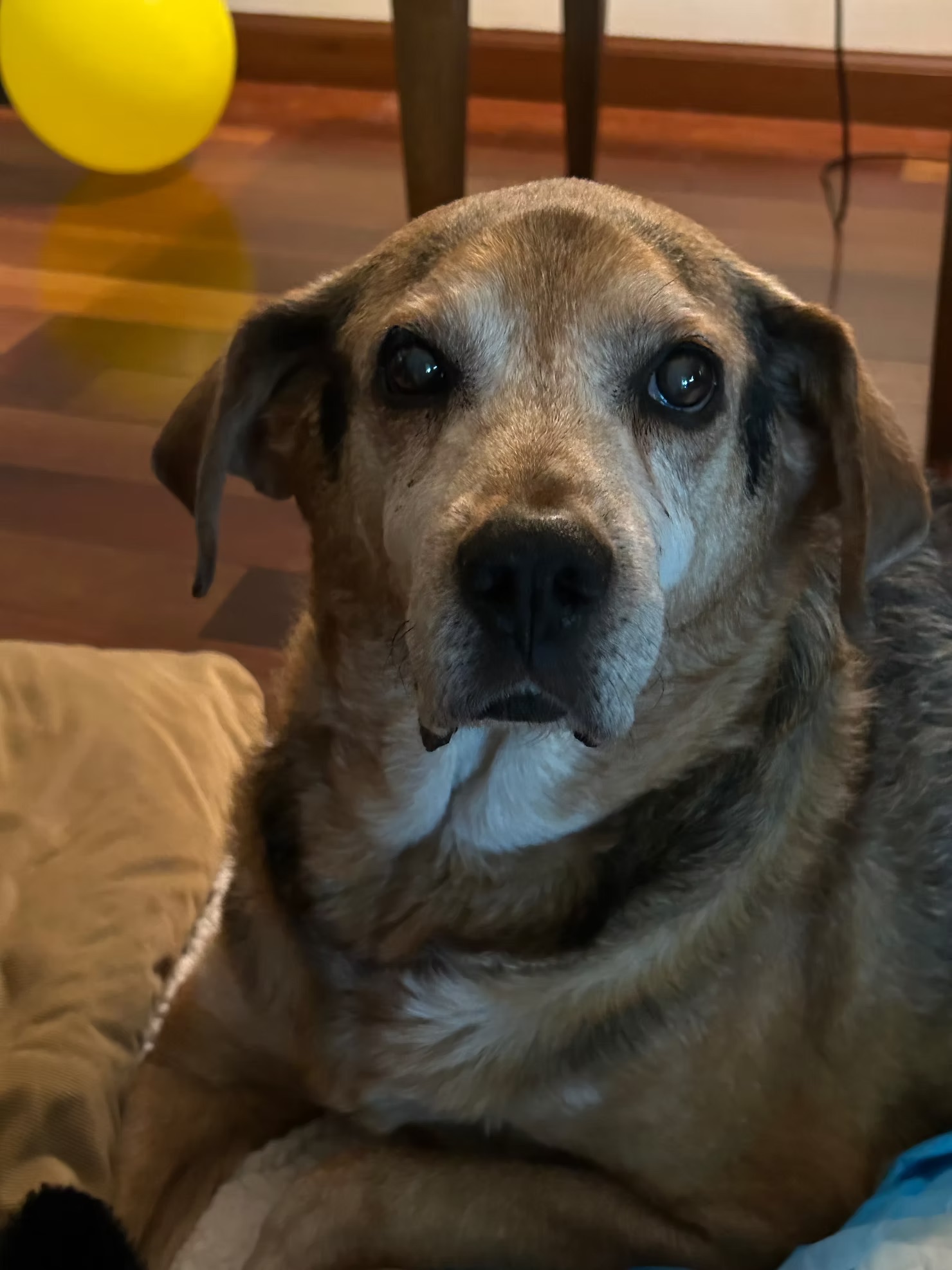 Murphy