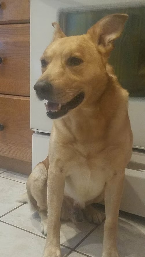Nash
