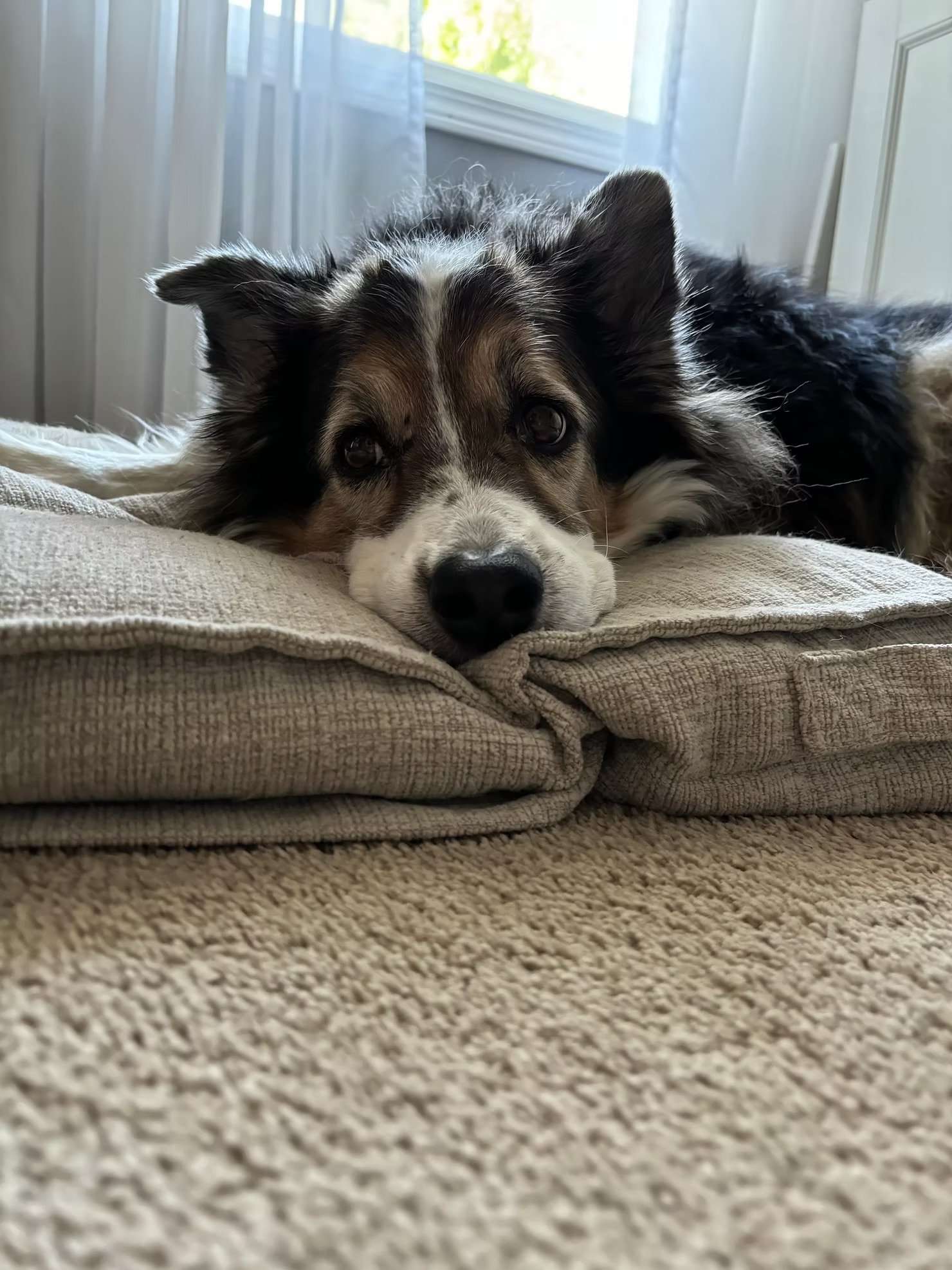 Patch