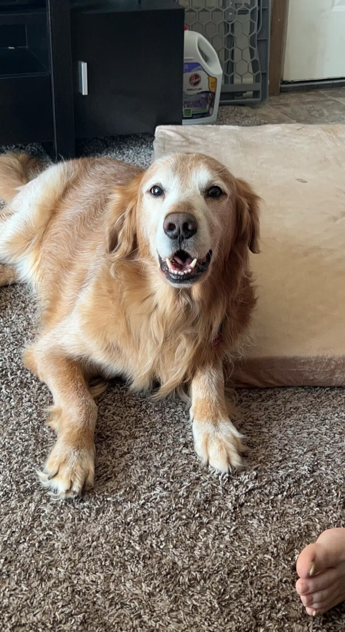 Ruger