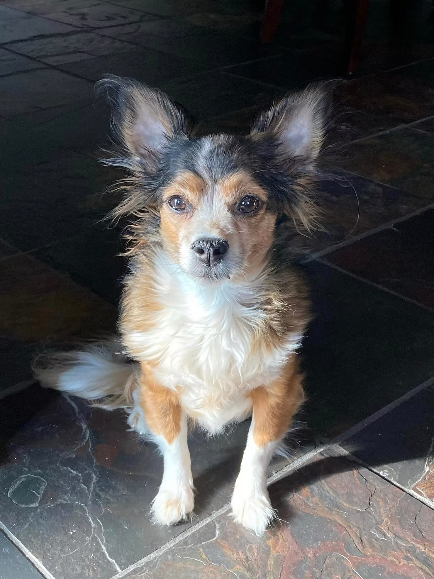 Sadie