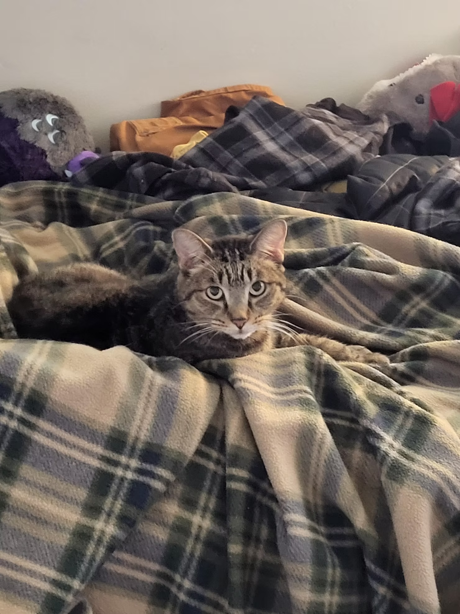 Tucker