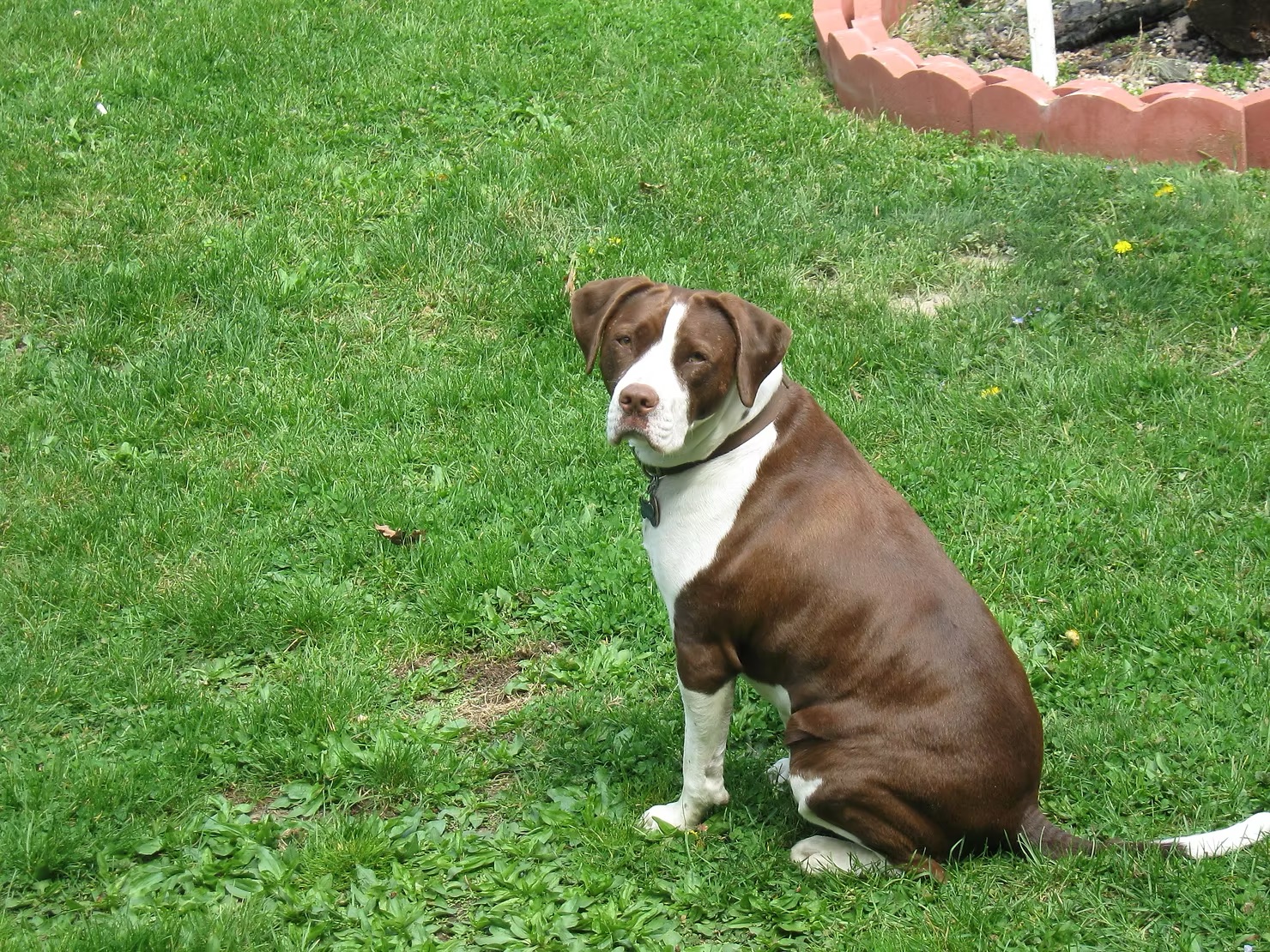 Tucker