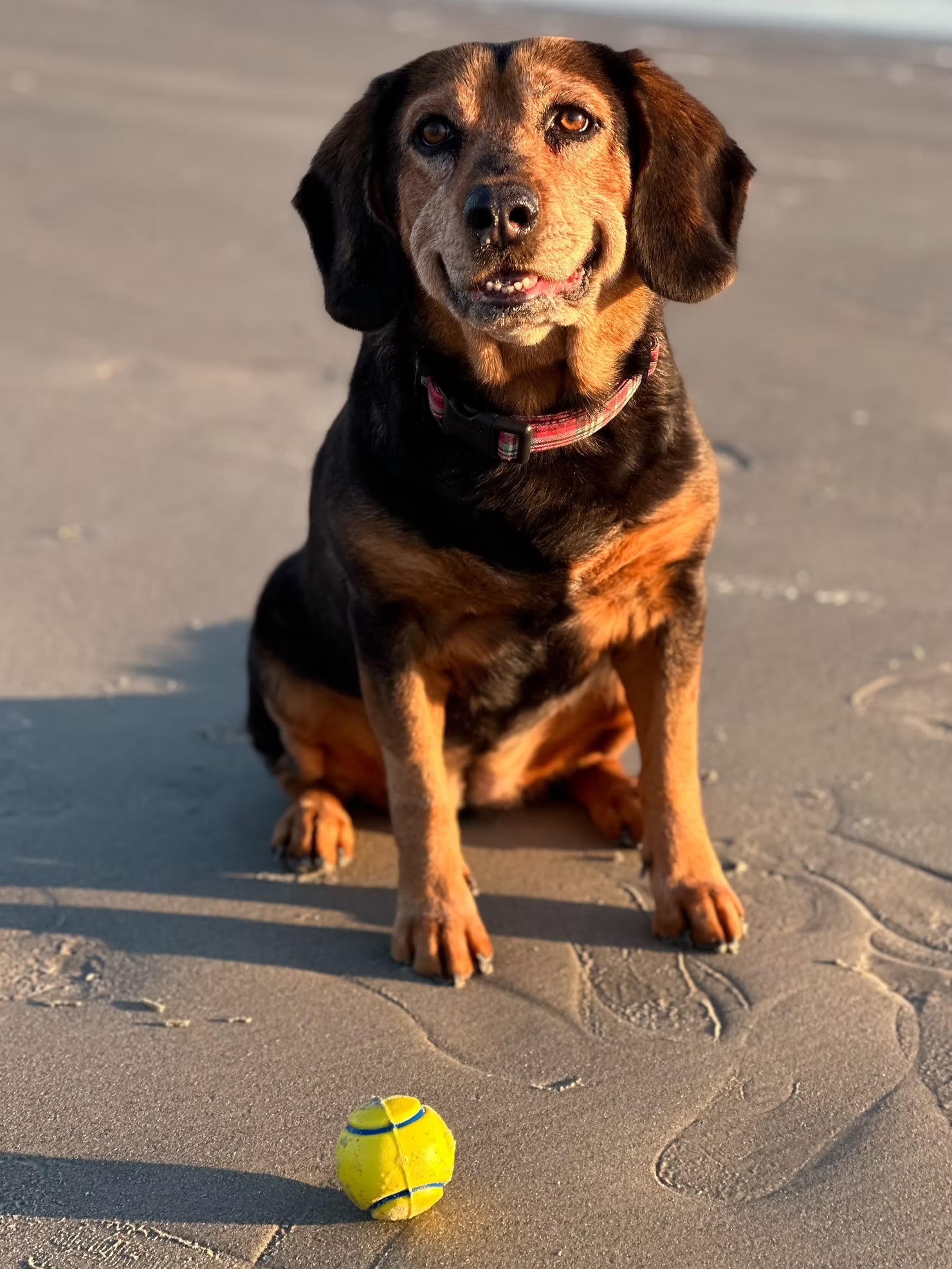 Winnie