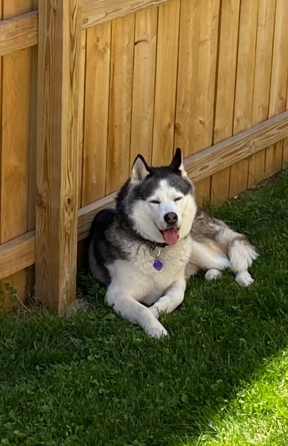 Xavier
