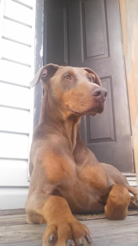 Zeke