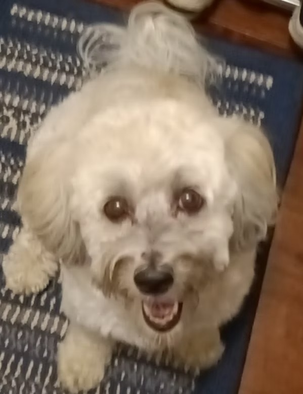 Zoe