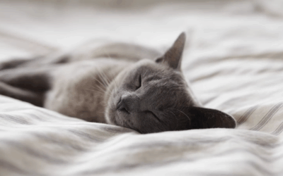 The Benefits Of Saying Goodbye At Home