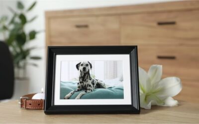 Important Considerations Regarding a Home Burial of Your Pet After Euthanasia
