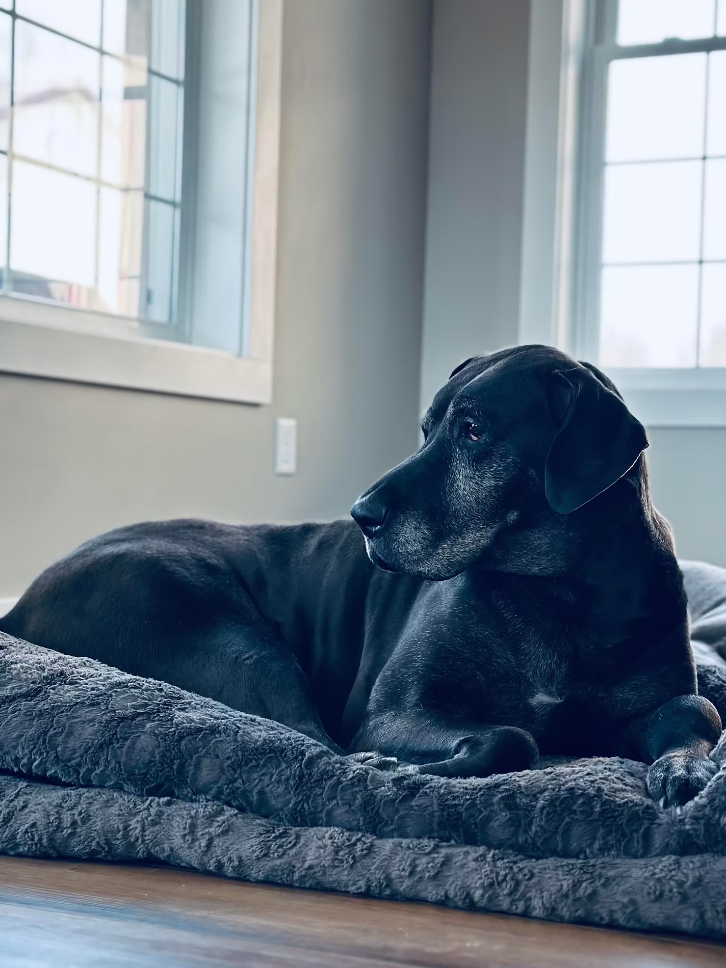 Marley