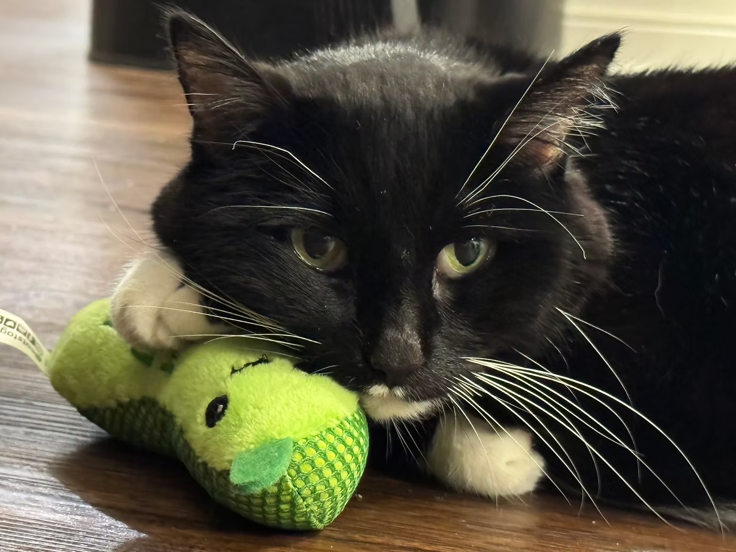 Mittens