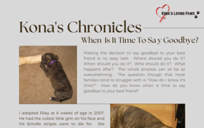 When Is It Time To Say Goodbye?