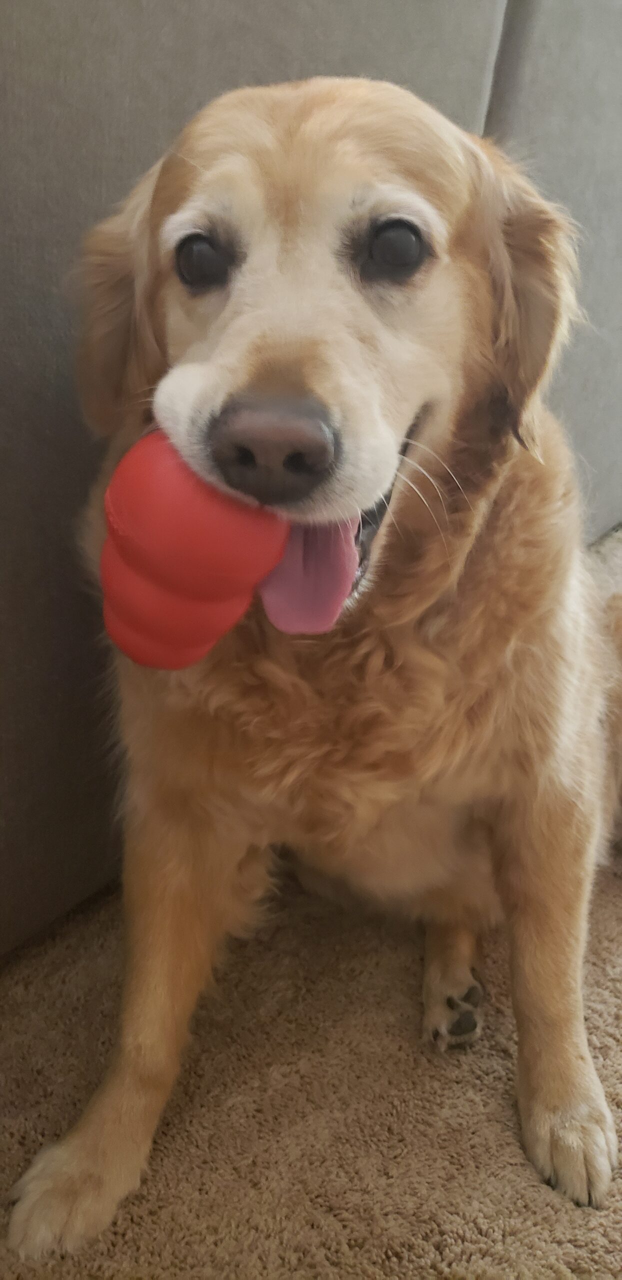 Matilda