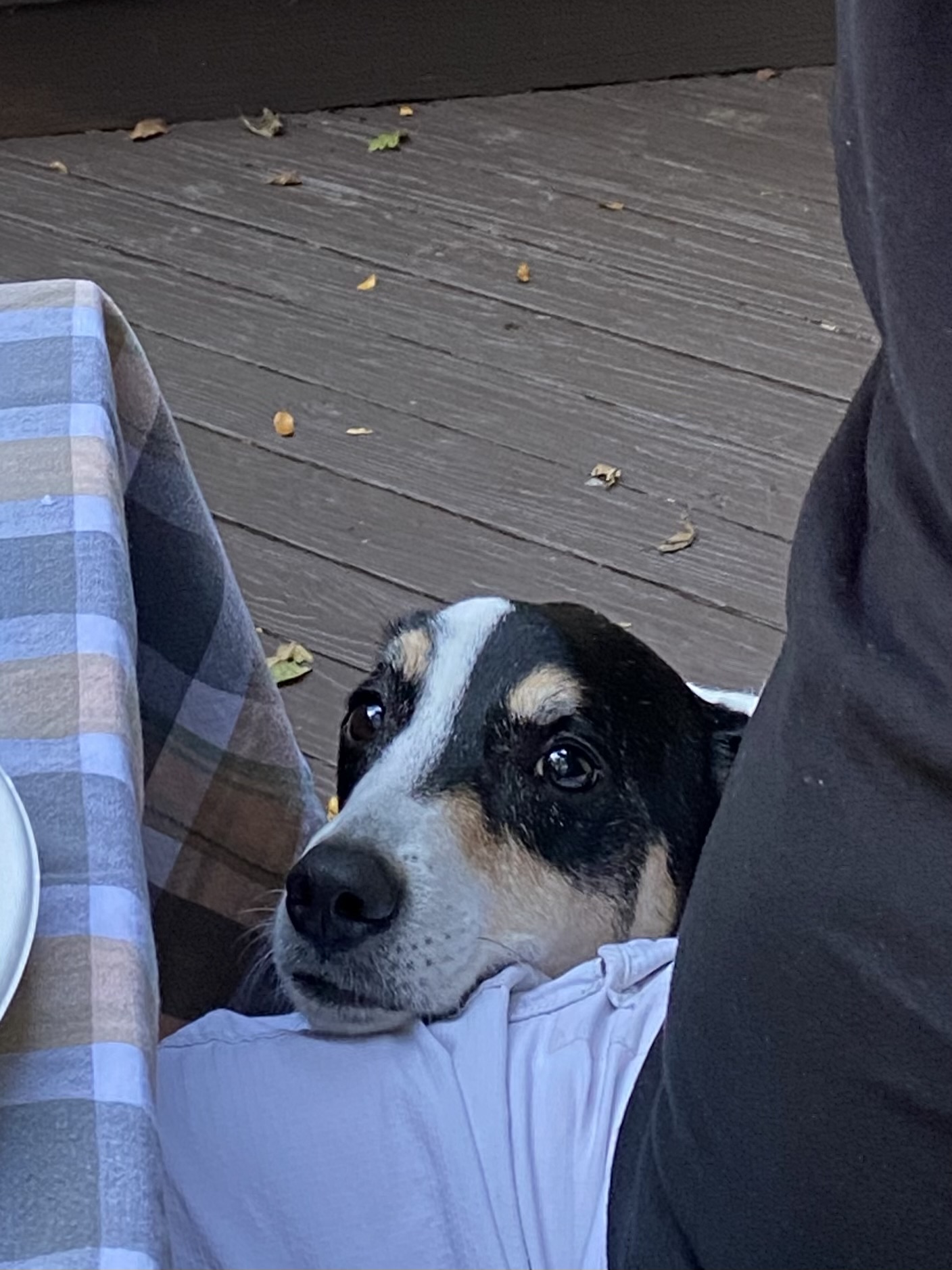 Buster