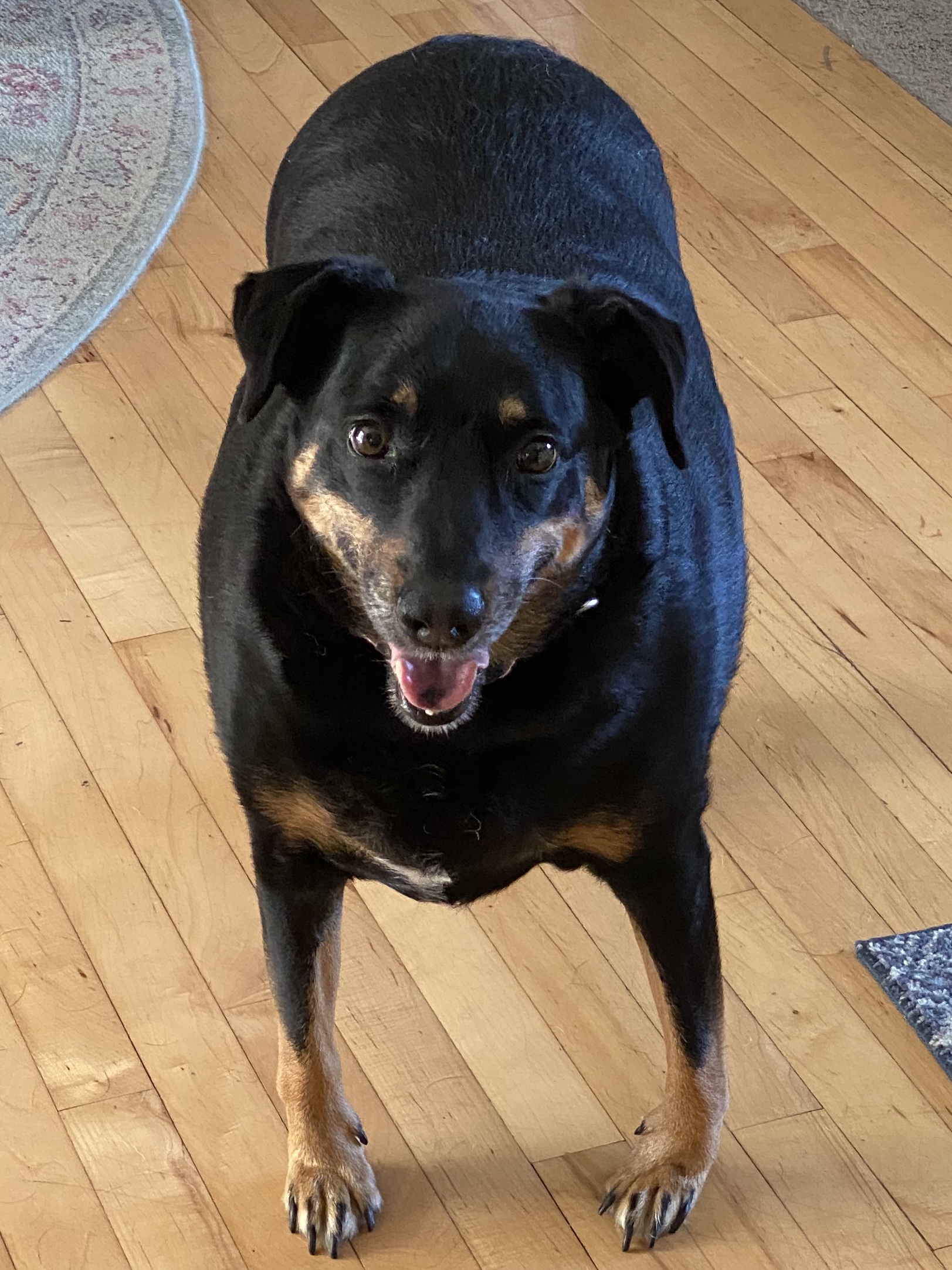 Maggie