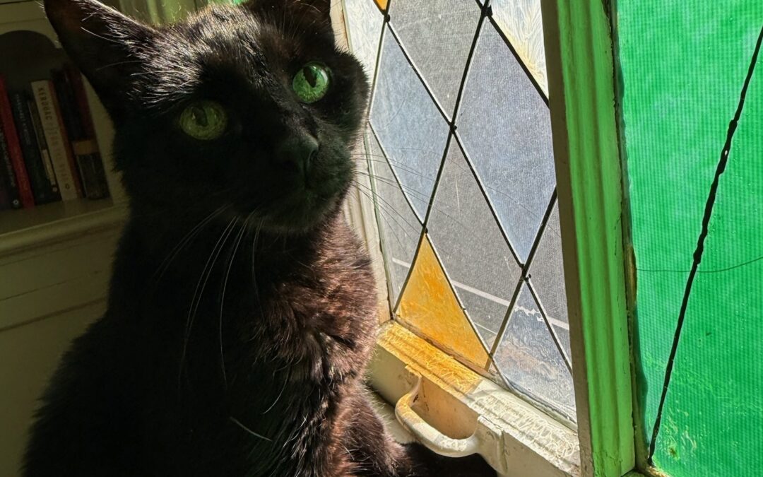 Duncan