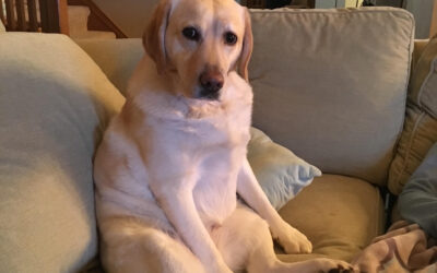 Sophie