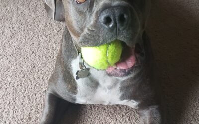 Remi