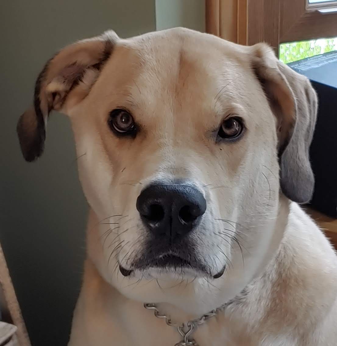 Finneas