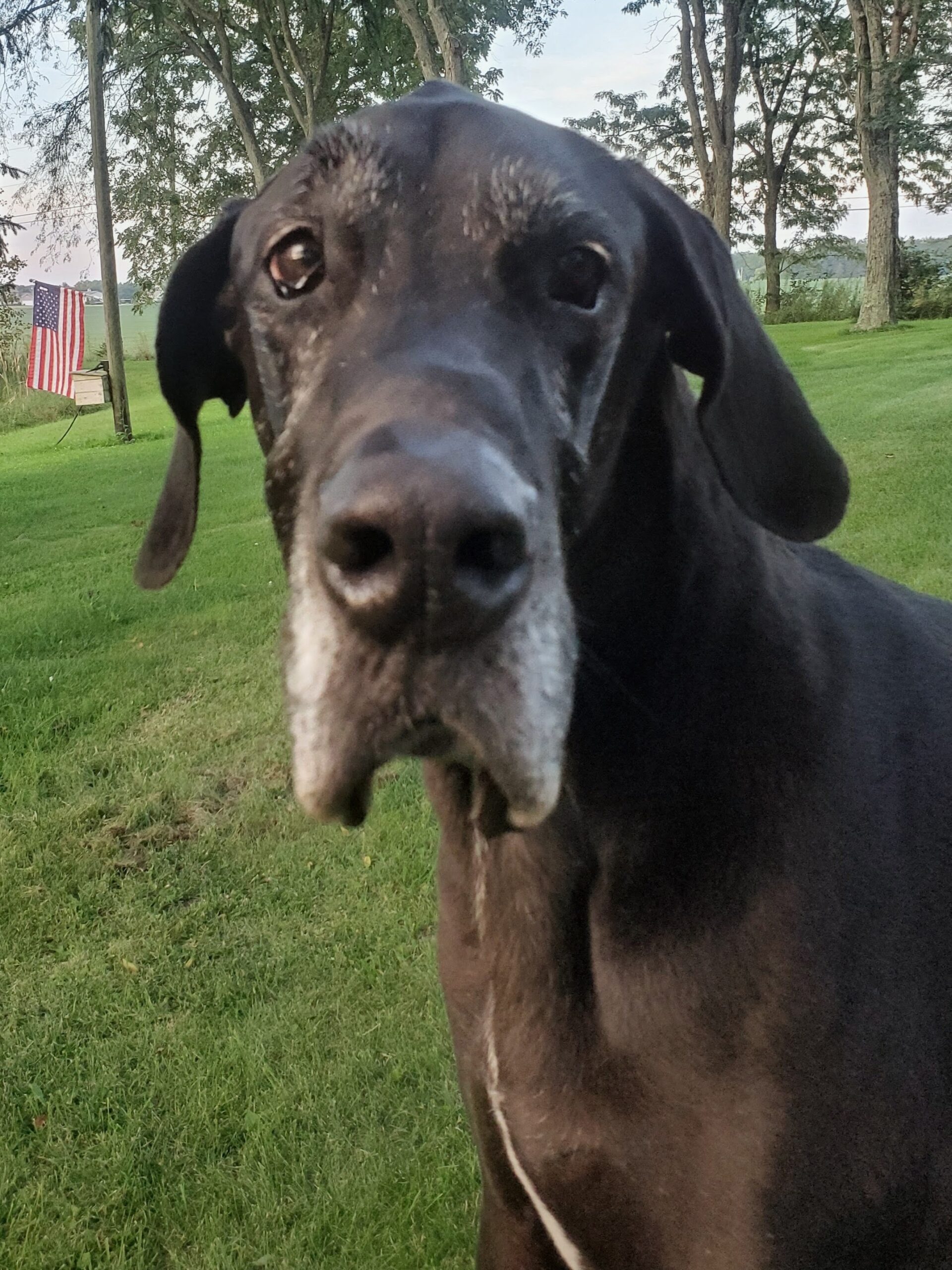 Molly