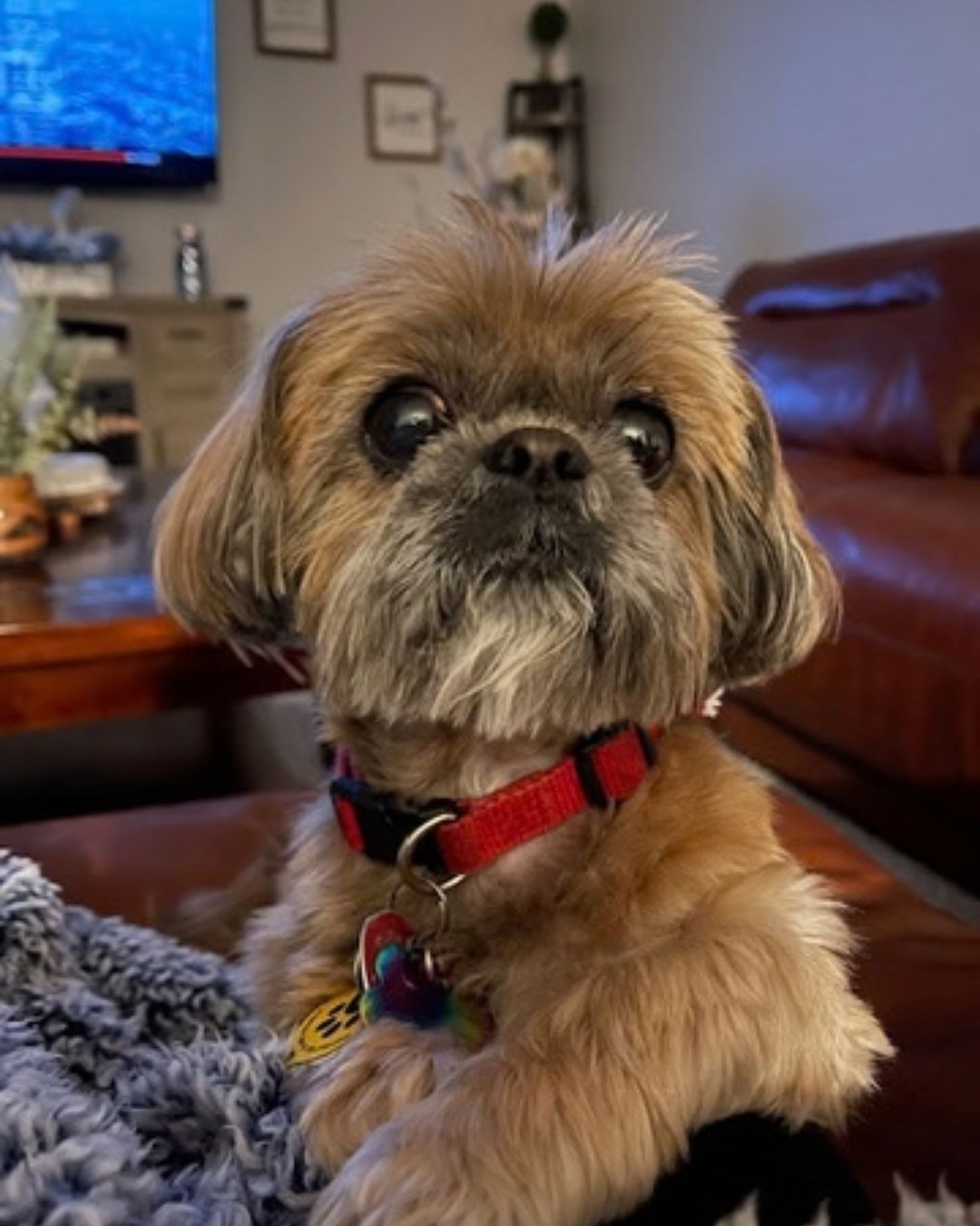 Rosie