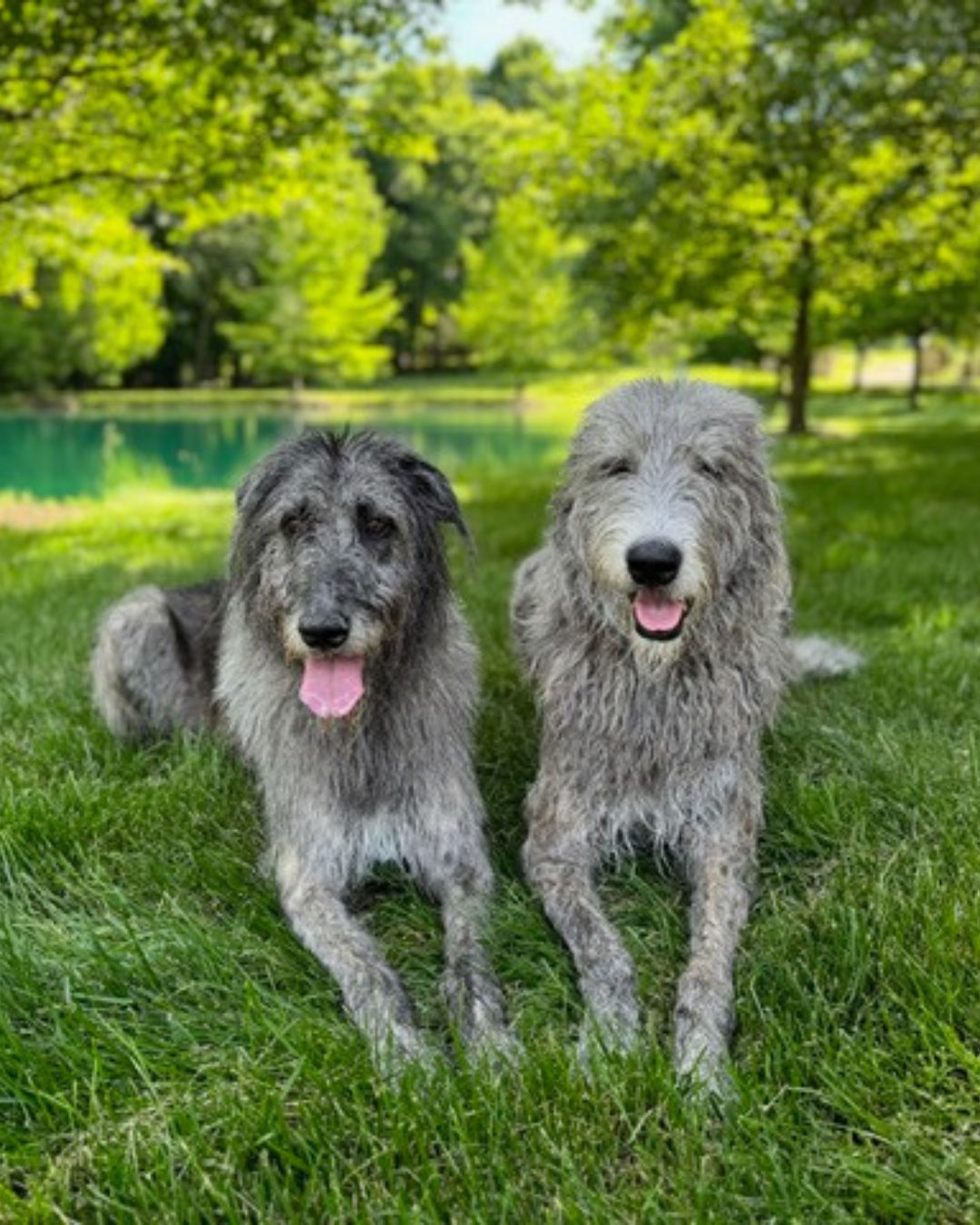 Ellie and Pippa