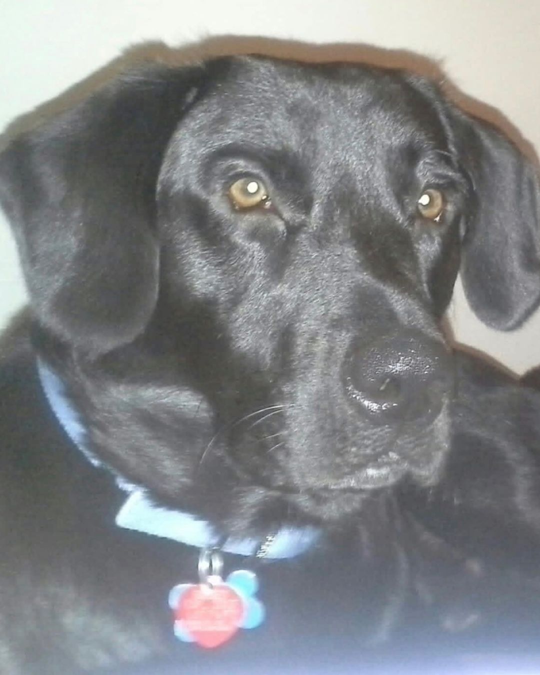 Rudy