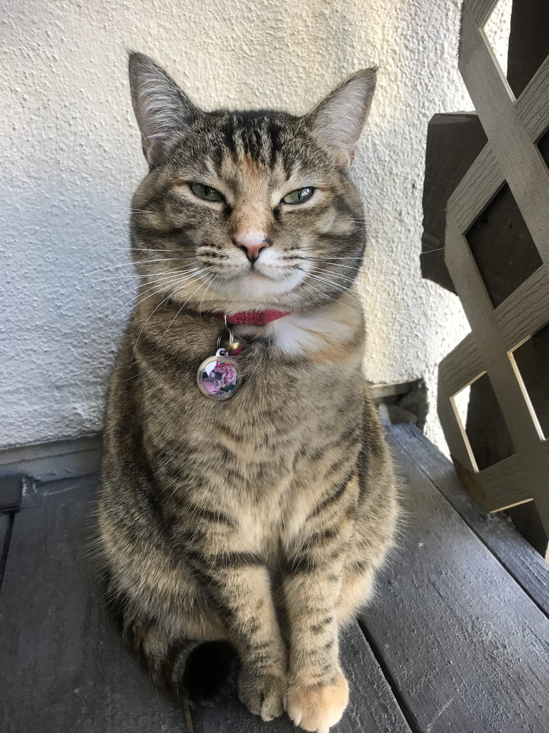 Lulu